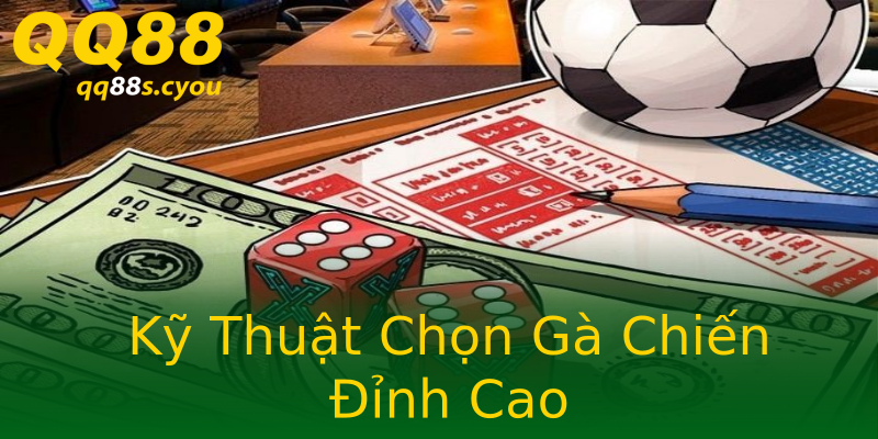 Kỹ Thuật Chọn Gà Chiến Đỉnh Cao Kỹ Thuật Chọn Gà Chiến Đỉnh Cao